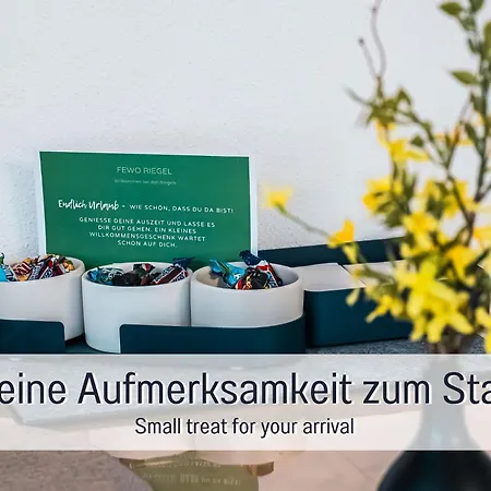 公寓 Fewo-riegel - Allgaeu Nah An A7 & Legoland, Wlan, Kueche & Parkplatz Direkt Am Haus